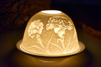 Starlight Nr.72 Bartnelke, Nelke - 0