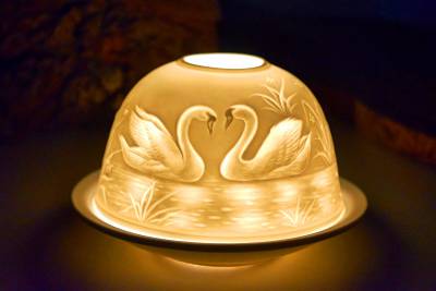 Starlight Nr.80 Schwanenpaar, Schwäne - 1