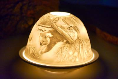 Starlight Nr.119 Koalabären - 0