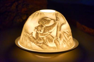 Starlight Nr.119 Koalabären - 1