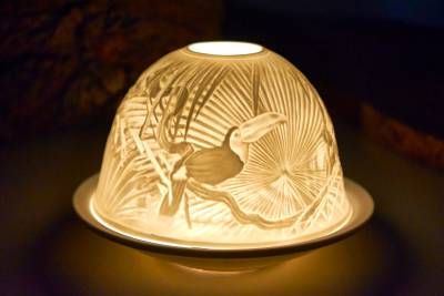 Starlight Nr.120 Riesentukan - 0