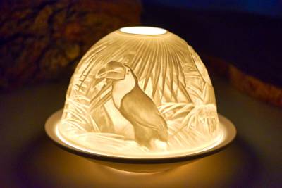 Starlight Nr.120 Riesentukan - 1