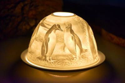 Starlight Nr.138 Pinguine - 1