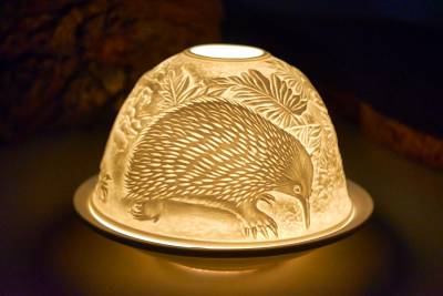 Starlight Nr.143 - der Vogel Kiwi - 1