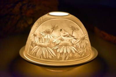 Starlight Nr.147 Margeritenwiese mit Schmetterling und Vogel - 0