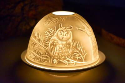 Starlight Nr.149 der Uhu, die Größte Eule - 0