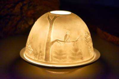 Starlight Nr.149 der Uhu, die Größte Eule - 1