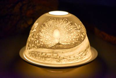 Starlight Nr.153 der Pfau im Prachtkleid - 0