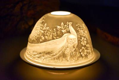 Starlight Nr.153 der Pfau im Prachtkleid - 1