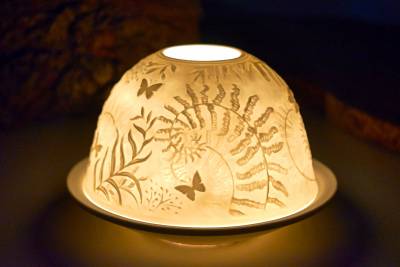 Starlight Nr.260 Schmetterling im Grünen - 1