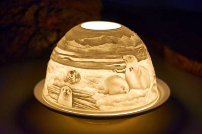 Starlight Nr.276 Robben - 1