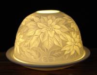 Starlight Nr.38 Weihnachtsstern