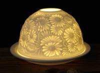 Starlight Nr.46 Margeritenstrauss