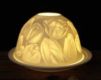 Starlight Nr.79 Tulpen