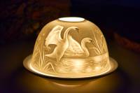 Starlight Nr.80 Schwanenpaar, Schwäne