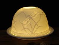 Starlight Nr.84 Libelle