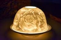 Starlight Nr.101 Rosenbeet