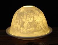 Starlight Nr.116 Löwenrudel, Löwe