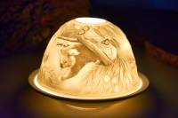 Starlight Nr.119 Koalabären