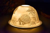 Starlight Nr.143 - der Vogel Kiwi