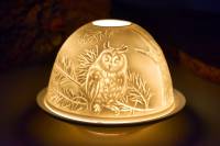 Starlight Nr.149 der Uhu, die Größte Eule