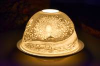 Starlight Nr.153 der Pfau im Prachtkleid